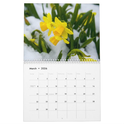 Seizoenskalender Kalender (Mar 2026)