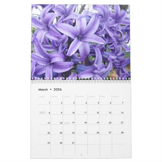 Seizoenskalender Kalender (Mar 2026)