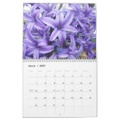 Seizoenskalender Kalender (Mar 2027)