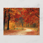 Seizoenskleuren in het najaar briefkaart (Voorkant)