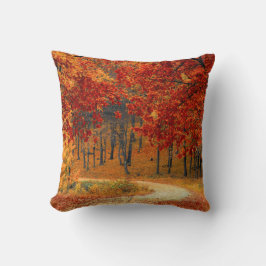 Seizoenskleuren in het najaar kussen