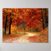 Seizoenskleuren in het najaar poster (Voorkant)