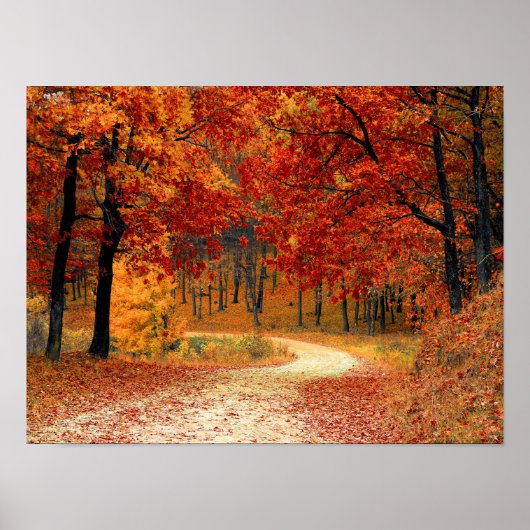 Seizoenskleuren in het najaar poster (Voorkant)