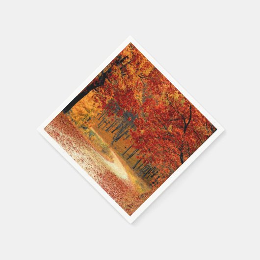 Seizoenskleuren in het najaar servet (Hoek)
