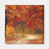 Seizoenskleuren van het najaar magneet (Voorkant)