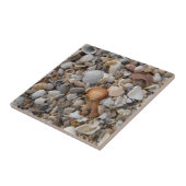 Seizoenspalen in de Seashore Tegeltje (Zijkant)