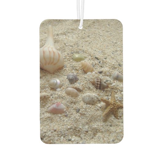 Seizoenspalen in de zand luchtverfrisser (Achterkant)