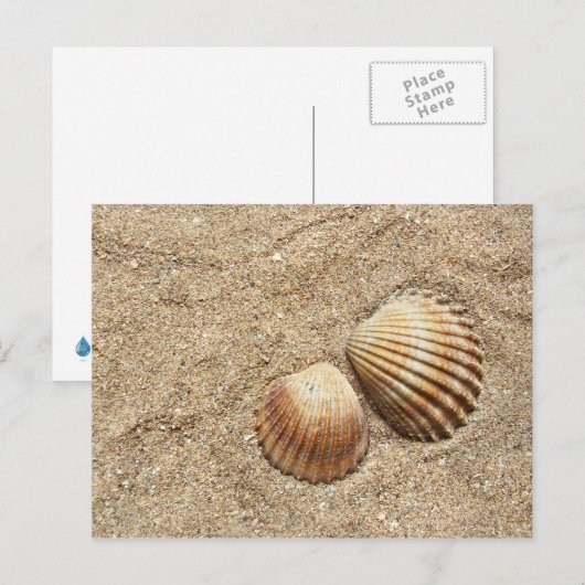 Seizoenspalen in het zand briefkaart (Voorkant / Achterkant)