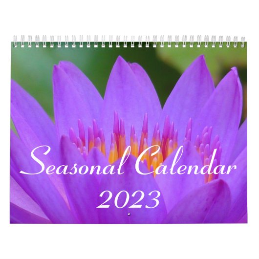 Seizoensrooster 2023 kalender (Hoes)