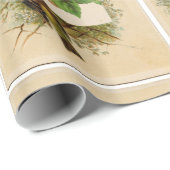 SEIZOENSVRUCHTEN / NATUUR, VOGELS EN FRAMBOZEN CADEAUPAPIER (Rol Hoek)