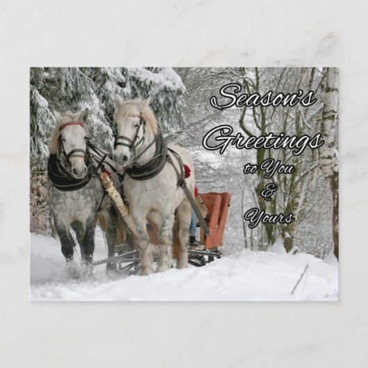 Seizoenswinterpaarden Briefkaart (Voorkant)