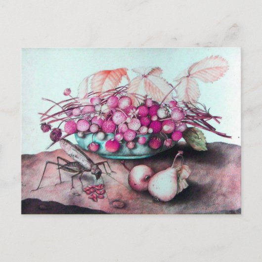 SEIZOENVRUCHTEN 3 BRIEFKAART (Voorkant)