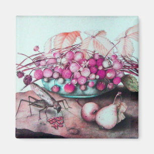 SEIZOENVRUCHTEN 3 MAGNEET