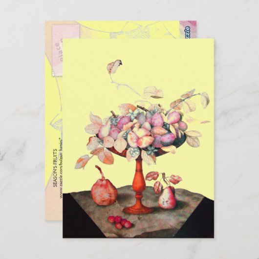 SEIZOENVRUCHTEN 5 BRIEFKAART (Voorkant / Achterkant)