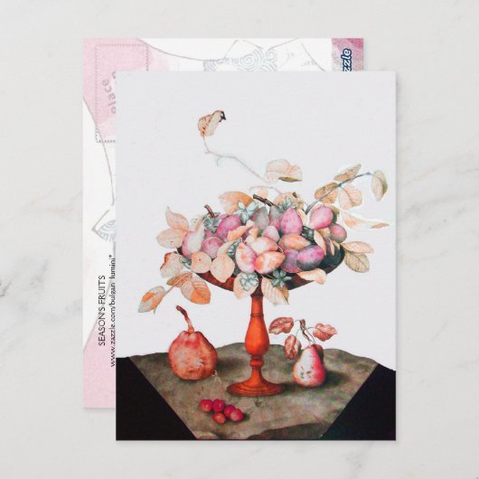 SEIZOENVRUCHTEN 5 BRIEFKAART (Voorkant / Achterkant)