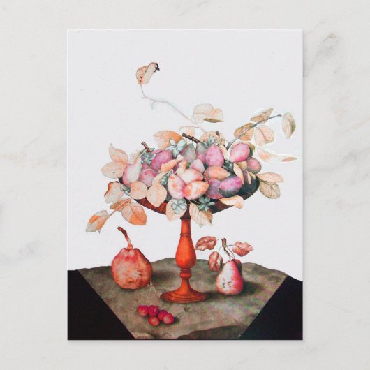 SEIZOENVRUCHTEN 5 BRIEFKAART (Voorkant)