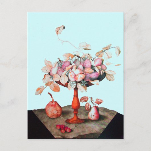 SEIZOENVRUCHTEN 5 BRIEFKAART (Voorkant)