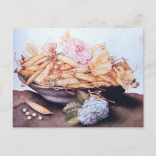 SEIZOENVRUCHTEN 6 - BEANEN EN ROZEN BRIEFKAART