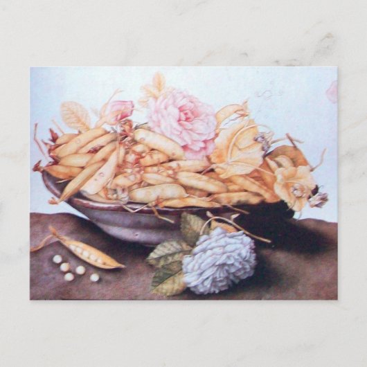 SEIZOENVRUCHTEN 6 - BEANEN EN ROZEN BRIEFKAART (Voorkant)