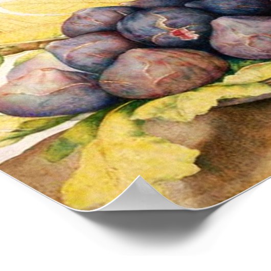 SEIZOENVRUCHTEN / BORD MET FIEREN EN GROENE VERLIE POSTER (Hoek)