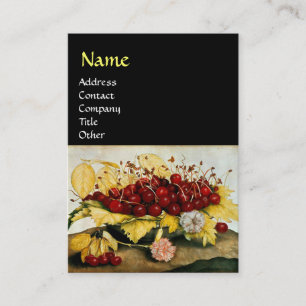 SEIZOENVRUCHTEN / KERNEN EN KARNATIES VISITEKAARTJE