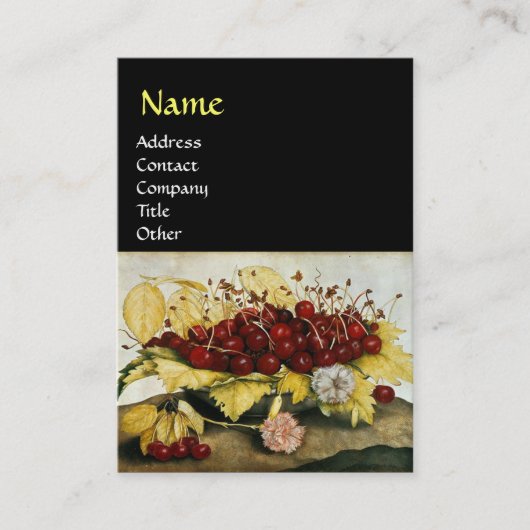 SEIZOENVRUCHTEN / KERNEN EN KARNATIES VISITEKAARTJE (Voorkant)