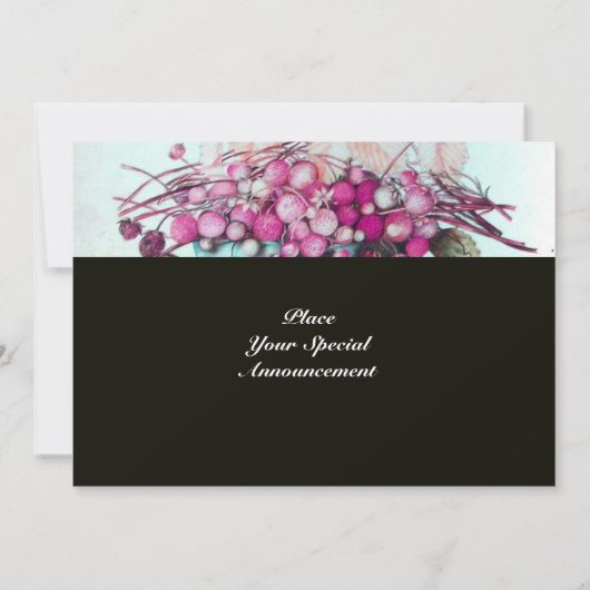 SEIZOENVRUCHTEN / STRAWBERRIA EN PEARS AANKONDIGING (Achterkant)