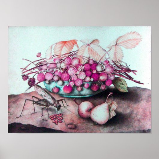 SEIZOENVRUCHTEN / STRAWBERRIA EN PEARS POSTER (Voorkant)