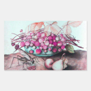 SEIZOENVRUCHTEN / STRAWBERRIA EN PEARS RECHTHOEKIGE STICKER