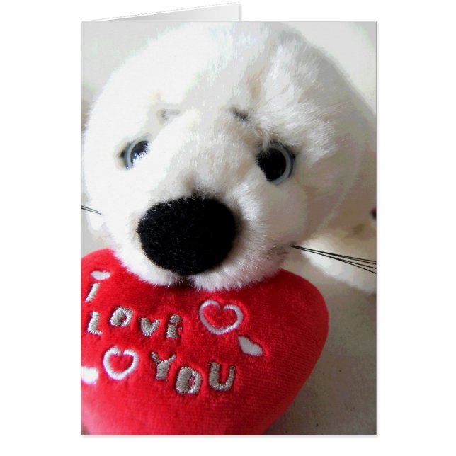 Sekel met liefde (Voorkant)