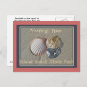 Sekells-groeten van IBSP Seaside Park NJ Briefkaart (Voorkant / Achterkant)