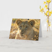 Selati Lion Cub Kaart (Gele Bloem)