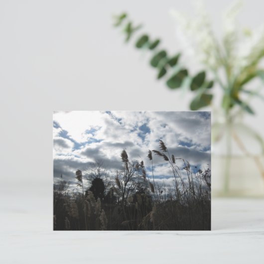 Selby-On-the-Bay Briefkaart (Staand voorkant)