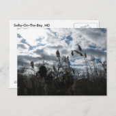 Selby-On-the-Bay Briefkaart (Voorkant / Achterkant)