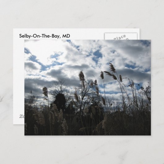 Selby-On-the-Bay Briefkaart (Voorkant / Achterkant)