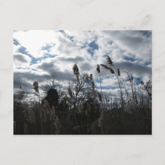 Selby-On-the-Bay Briefkaart