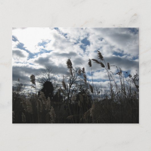 Selby-On-the-Bay Briefkaart (Voorkant)