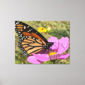 Selden Butterfly 2025 Canvas Afdruk (Voorkant)