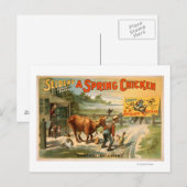 Selden's Funny Farce, een lentepick Briefkaart (Voorkant / Achterkant)