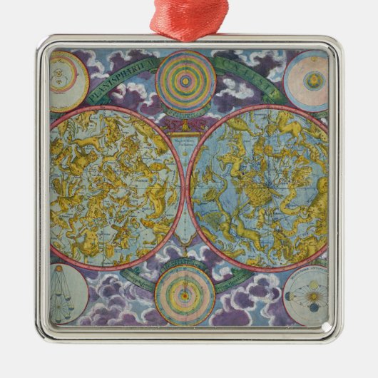 Selderfgoedkaart van de planten metalen ornament (Voorkant)