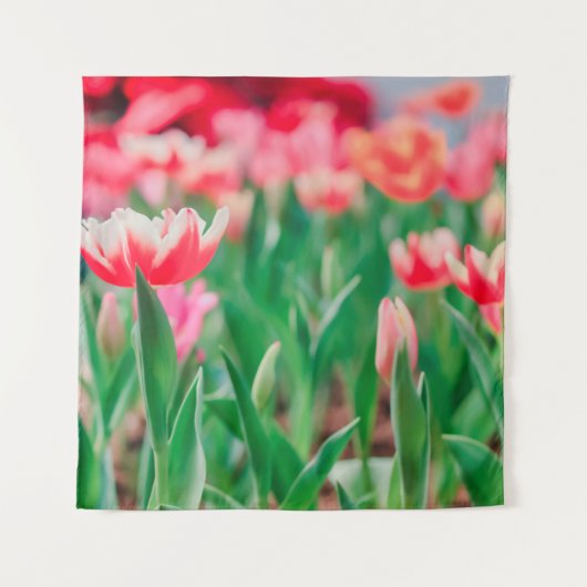 Selecteer focus, verbluffende natuur van prachtig wandkleed (Voorkant)