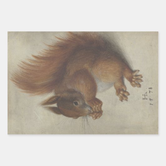 Selectie van bossen inpakpapier vel (Voorkant 2)