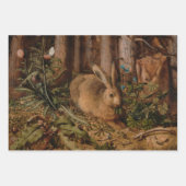 Selectie van bossen inpakpapier vel (Voorkant)