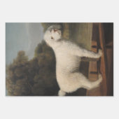 Selectie van hondenliefhebbers (Pet Doggies and Ca Inpakpapier Vel (Voorkant 2)