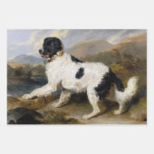 Selectie van hondenliefhebbers (Pet Doggies and Ca Inpakpapier Vel (Voorkant)