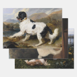 Selectie van hondenliefhebbers (Pet Doggies and Ca Inpakpapier Vel