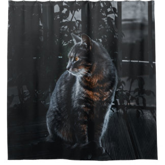 SELECTIEVE FOCUS VAN SILVER TABBY CAT DOUCHEGORDIJN