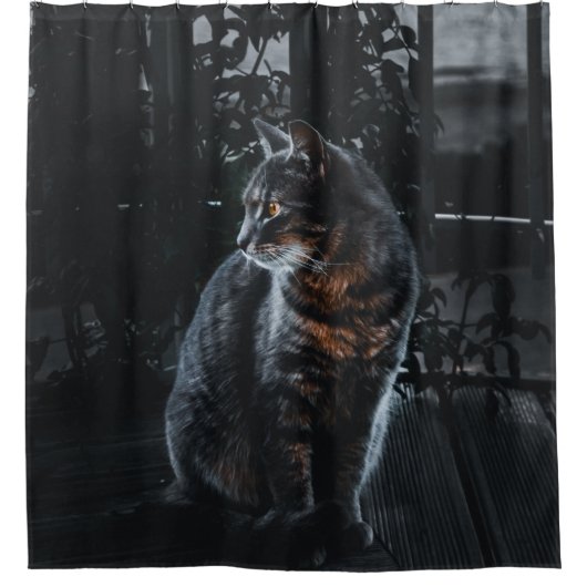 SELECTIEVE FOCUS VAN SILVER TABBY CAT DOUCHEGORDIJN (Voorkant)