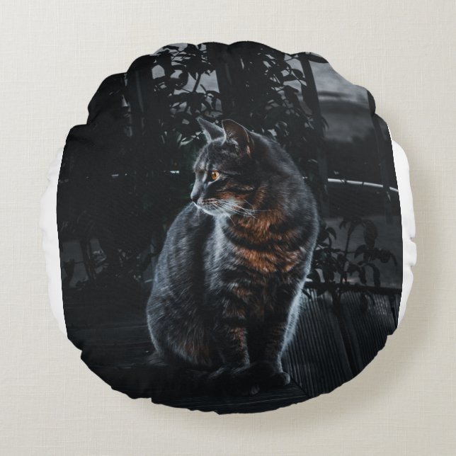 SELECTIEVE FOCUS VAN SILVER TABBY CAT ROND KUSSEN (Voorkant)