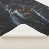 SELECTIEVE FOCUS VAN SILVER TABBY CAT SHERPA DEKEN (3/4)